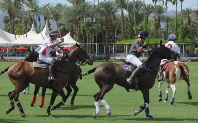 The Novice’s Guide to Polo