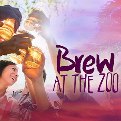 Palm Desert Brew at the Zoo