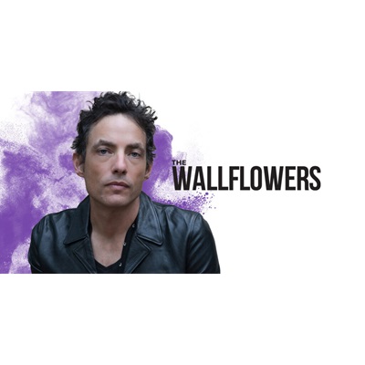 the wildflowers poster