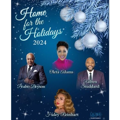 home for the holidays poster