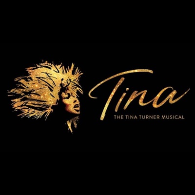 tina turner musical poster