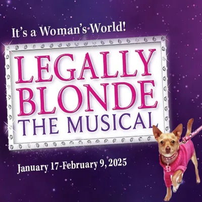 legally blonde the musical poster